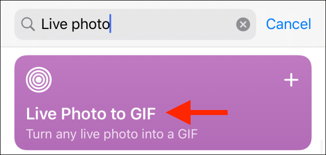 Digite "Live Photo to GIF" na caixa "Pesquisar" e toque em "Live Photo to GIF".