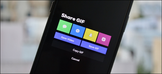 O menu Compartilhar GIF no aplicativo GIPHY em um iPhone.