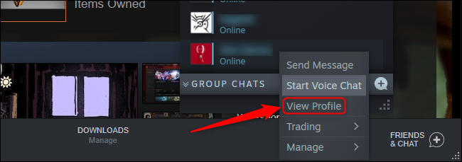 Perfil de visualização do Steam