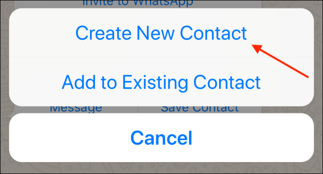Toque em Criar novo contato no WhatsApp no ​​iPhone