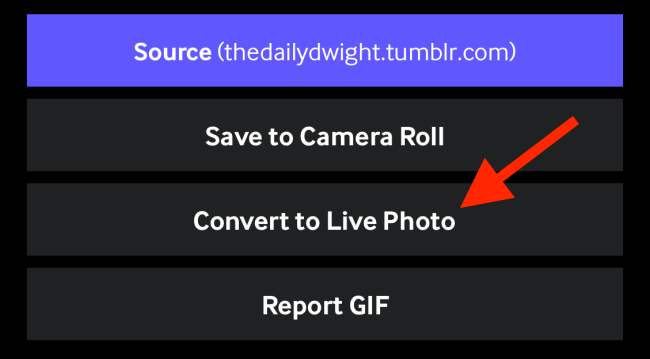 Toque em Converter para Live Photo