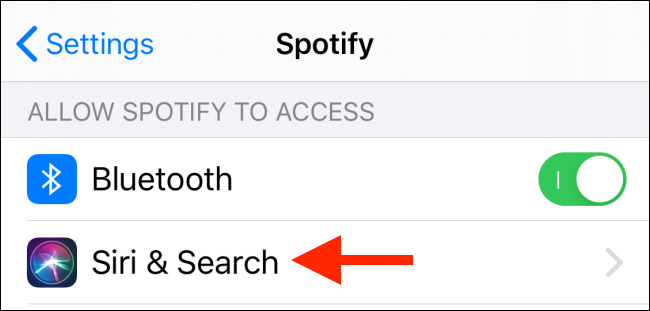 Toque em Siri e pesquise na seção Spotify