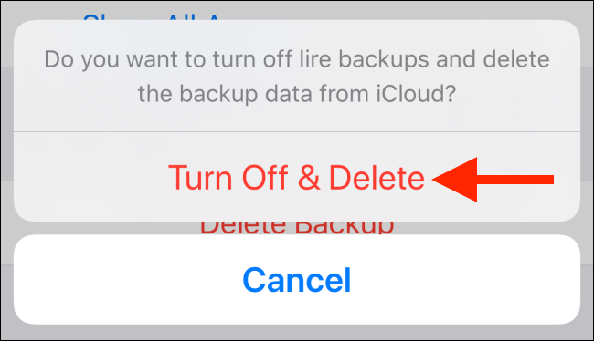 Toque em Desligar e Excluir para excluir o backup do aplicativo no iCloud