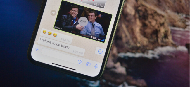 WhatsApp mostrando GIF