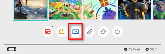 Ícone de álbum na tela inicial do Nintendo Switch