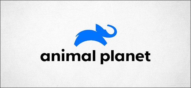 Logotipo do Animal Planet