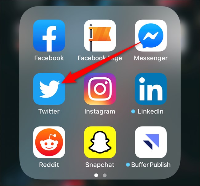 Apple iPhone Open Twitter App
