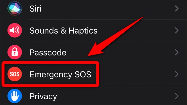Apple iPhone Watch App Select Emergency SOS