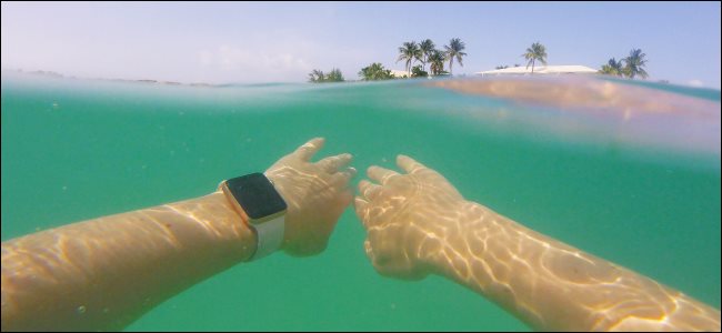 Um homem usando um Apple Watch enquanto nada debaixo d'água no oceano.