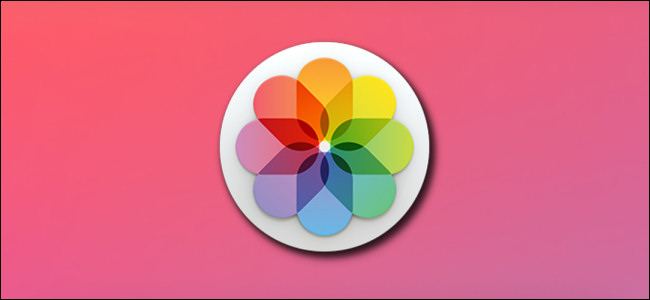 Apple Photos App Hero