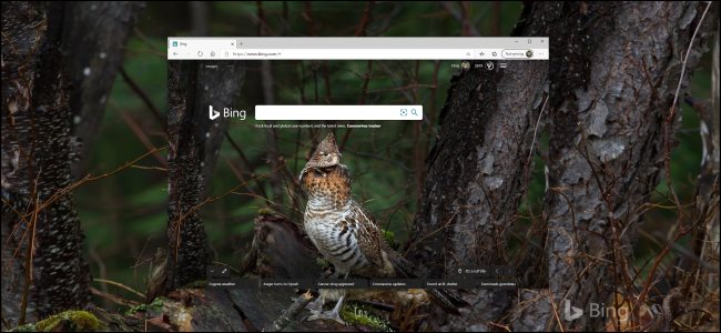 Histórico diário do Bing em um navegador e na área de trabalho do Windows 10.