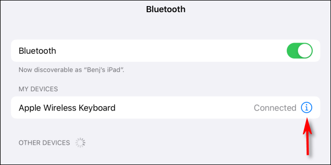 Toque no ícone de informações em Meus dispositivos no Bluetooth em Configurações para iPad