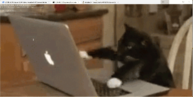 Terminal Windows com um gato digitando no GIF do fundo do teclado