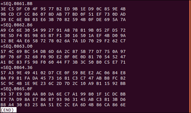 parte inferior do arquivo de log em uma janela de terminal