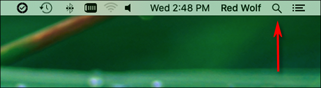 Clique no ícone da lupa na barra de menu para iniciar a Pesquisa Spotlight.