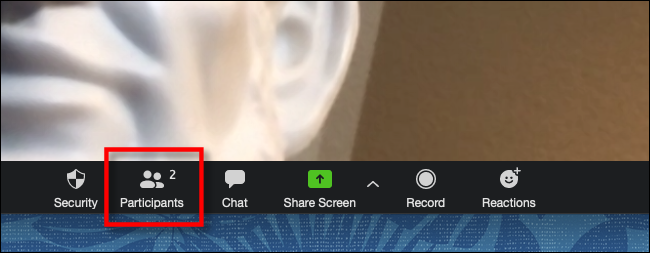 Clique em Participantes na barra de ferramentas de zoom