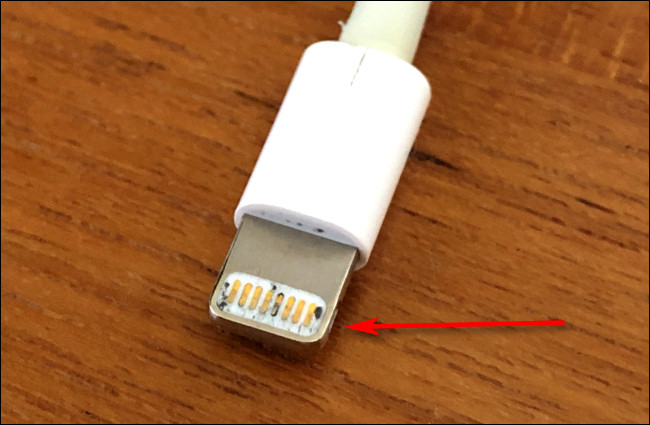 Conector Apple Lightning sujo