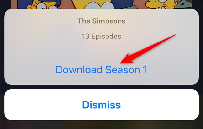 Disney + App Download Season Button
