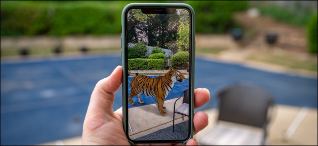 Uma mão segurando um telefone com um tigre na tela.