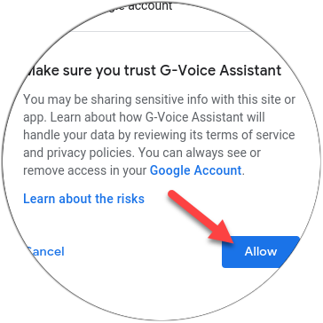 Toque em "Permitir" para confiar no G-Voice Assistant.