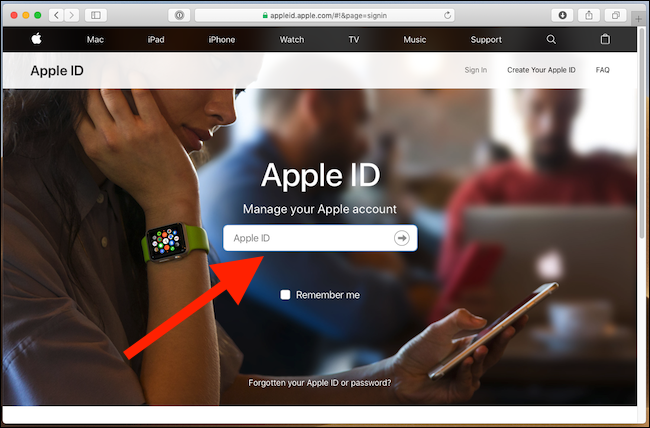 Faça login em appleid.apple.com.