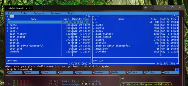 Novo Terminal Windows mostrando aplicativos Linux