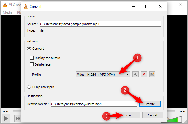 Selecione o codec e o contêiner para o qual deseja converter, clique em “Procurar” e escolha um local e nome de arquivo para o arquivo de saída e clique em “Iniciar”.