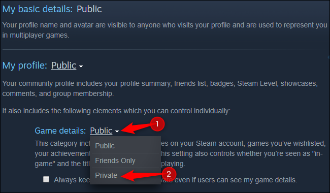 Definir as informações de detalhes do jogo como privadas no Steam