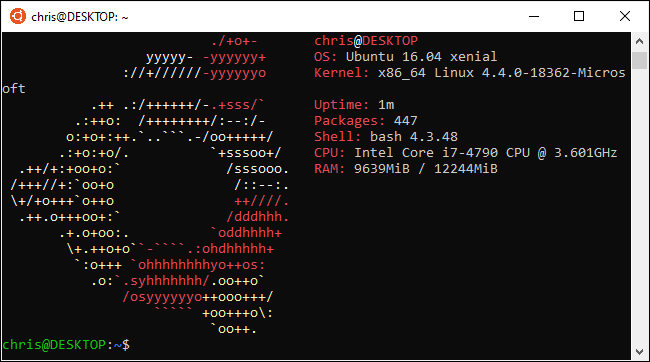 Logotipo do Ubuntu em um terminal WSL no Windows 10