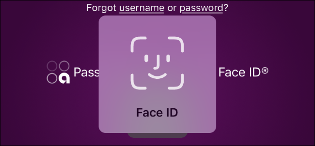 Solicitação de identificação facial para um aplicativo de banco online em um iPhone.