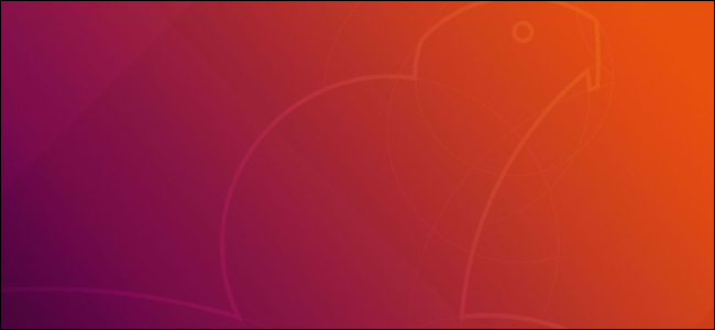 Papel de parede padrão do Ubuntu 18.04 LTS "Bionic Beaver"