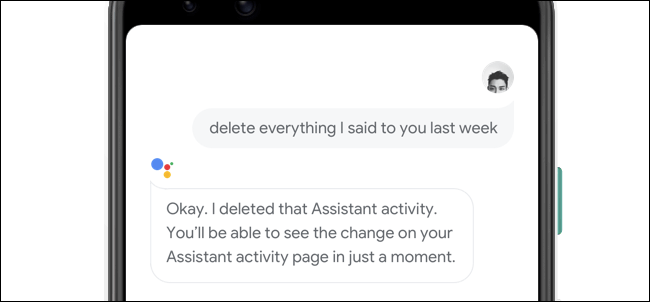 Excluindo o que você disse ao Google Assistente por voz.