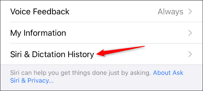 Abrindo o Siri & Dictation History em um aplicativo de configurações do iPhone.