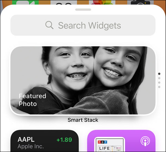 Biblioteca de widgets iOS 14