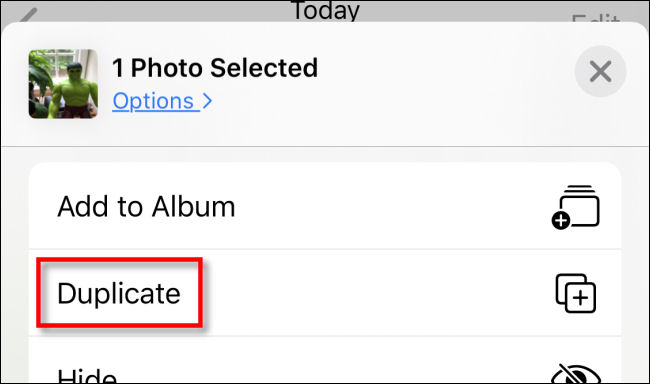 Toque em Duplicar no menu Compartilhar em Fotos no iPhone.