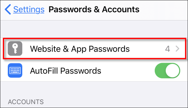 Toque em Senhas de sites e aplicativos em Configurações no iPhone