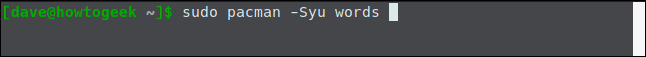 "sudo pacman -Syu words" em uma janela de terminal.