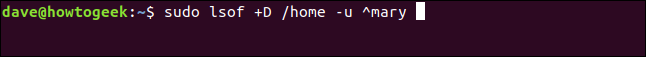 sudo lsof + D / home -u ^ mary em uma janela de terminal