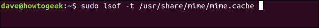 sudo lsof -t /usr/share/mime/mice.cache em uma janela de terminal