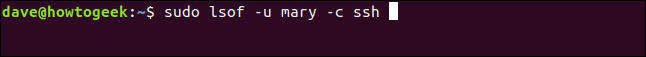 sudo lsof -u mary -c ssh em uma janela de terminal