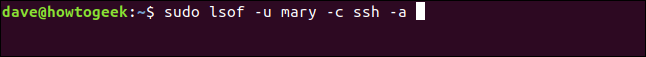 sudo lsof -u mary -c ssh -a em uma janela de terminal