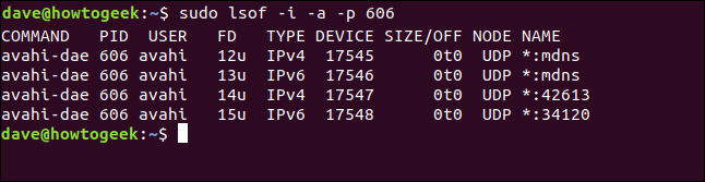 saída lsof em uma janela de terminal