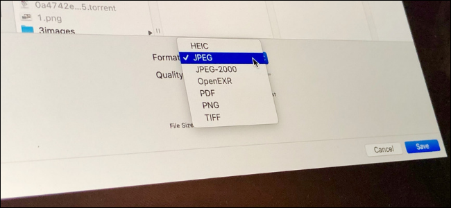 Aplicativo de visualização do macOS mostrando opções para converter imagens entre PNG, JPG, TIFF e muito mais