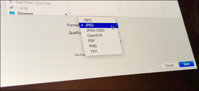 jpg to png converter app