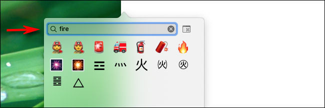 Digite uma palavra na caixa de pesquisa para pesquisar emoji no Mac.
