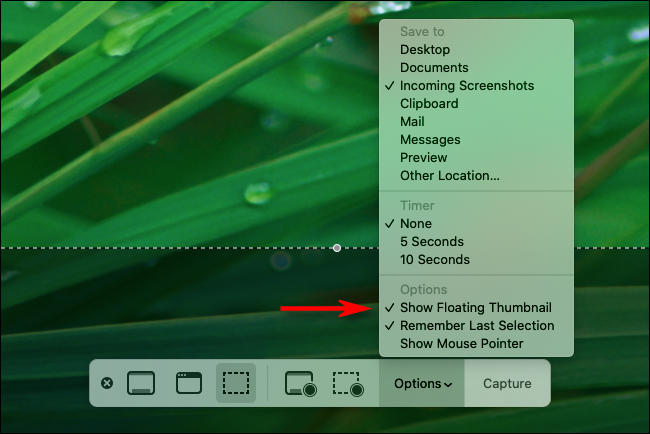 Desmarque Mostrar miniatura flutuante nas opções de captura de tela em um Mac