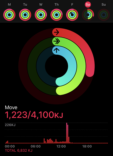Uma meta de movimento no aplicativo de atividades da Apple.