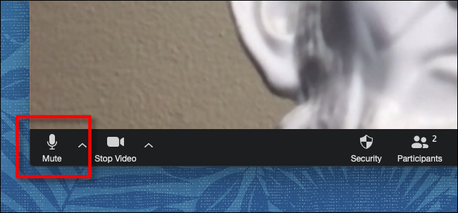 Clique ou toque em Silenciar na barra de ferramentas em Zoom