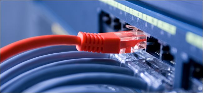 Cabos Ethernet conectados a um switch de rede.