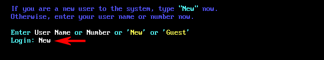 Digite "Novo" ao lado de "Login:" e pressione Enter.